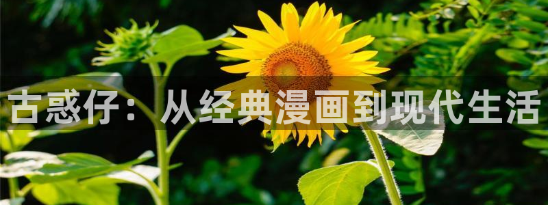 91漫画比翼鸟